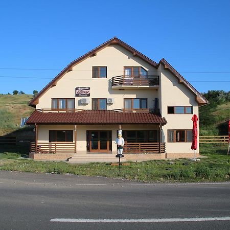 Pensiunea Fery Slobozia-Oancea Exterior foto